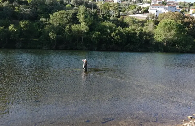 Praia Fluvial de Palheiros e Zorro
